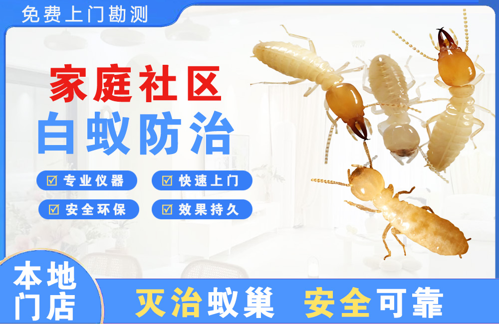 溧阳家庭社区白蚁防治