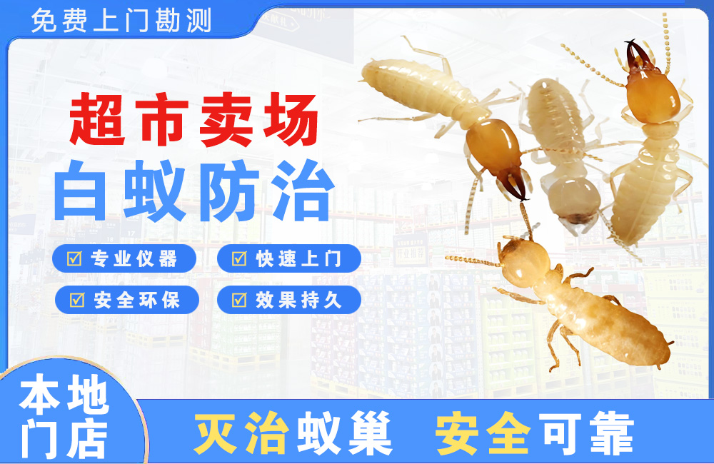 溧阳超市卖场白蚁防治