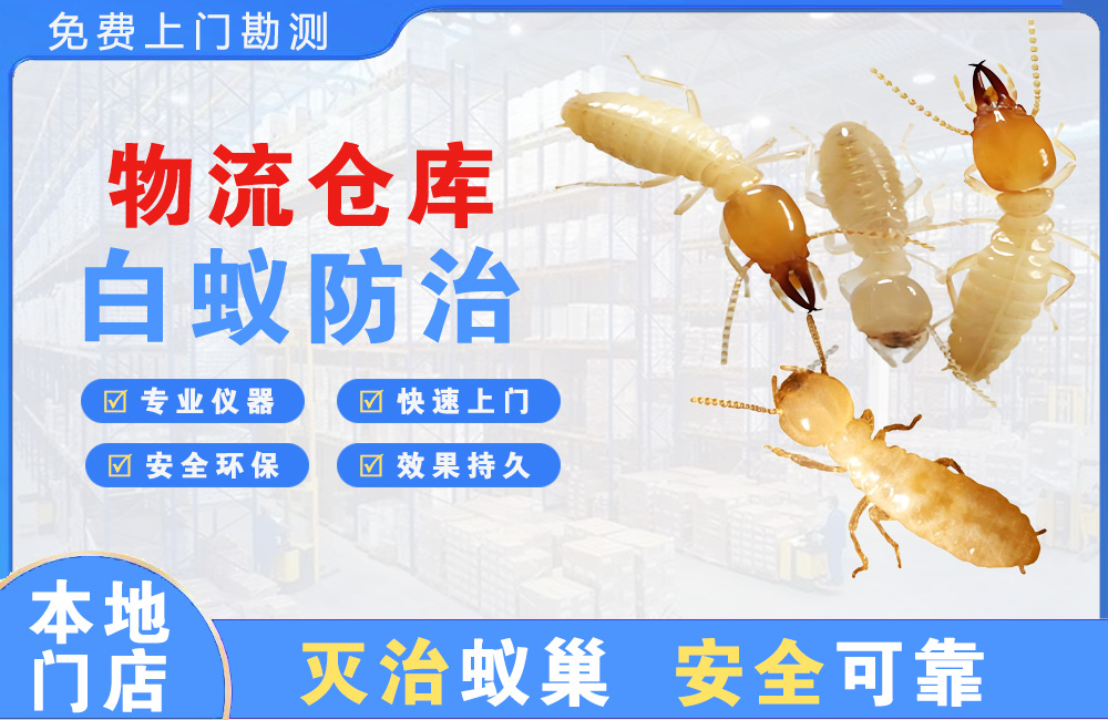 溧阳物流仓库白蚁防治