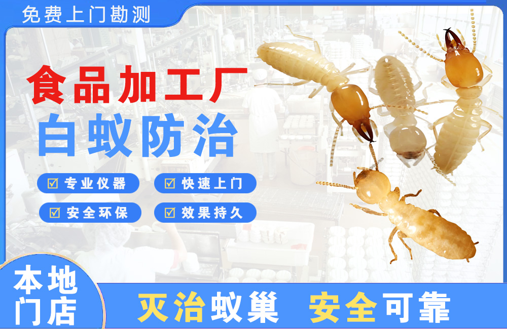 溧阳食品加工厂白蚁防治