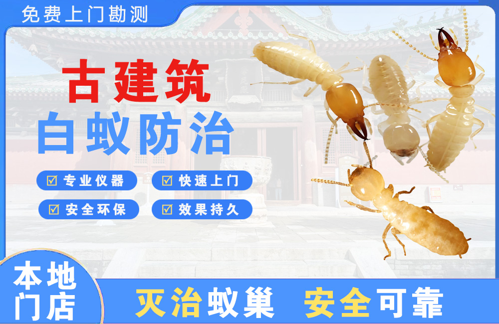 溧阳古建筑白蚁防治