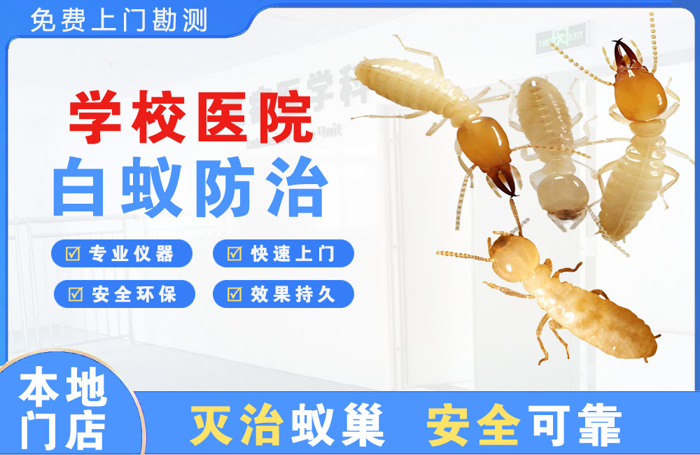 溧阳学校医院白蚁防治
