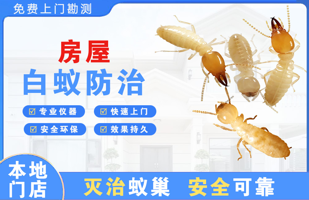 溧阳房屋白蚁防治