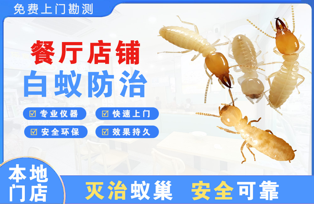 溧阳餐厅店铺白蚁防治